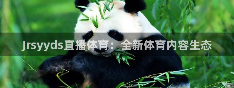 河豚nba直播官网：Jrsyyds直播体育：全新体育内容生态