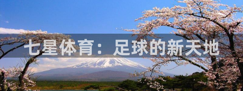 河豚体育app官方下载：七星体育：足球的新天地