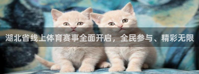 河豚体育足球直播：湖北省线上体育赛事全面开启，全民参与、精彩无限