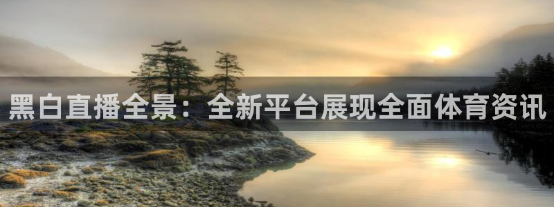 河豚河豚：黑白直播全景：全新平台展现全面体育资讯