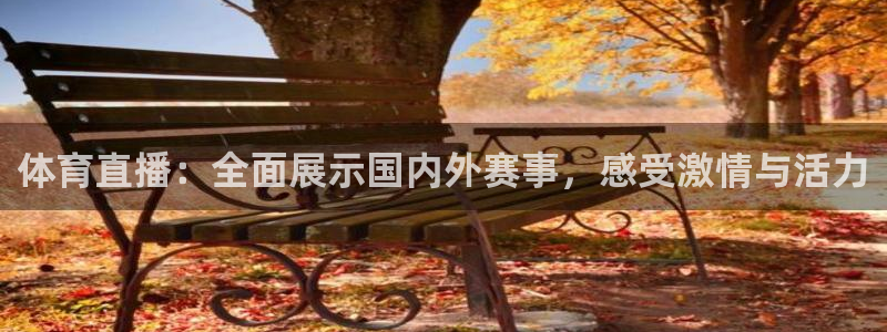 河豚视频：体育直播：全面展示国内外赛事，感受激情与活力