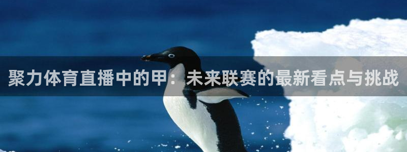 河豚直播nba：聚力体育直播中的甲：未来联赛的最新看点与挑战