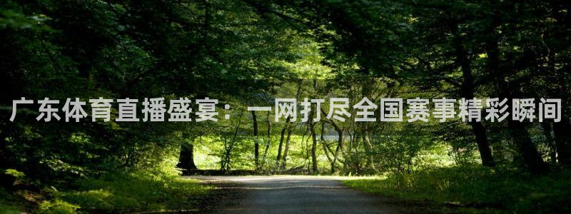 河豚体育：广东体育直播盛宴：一网打尽全国赛事精彩瞬间