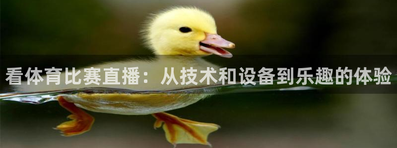 河豚体育直播：看体育比赛直播：从技术和设备到乐趣的体验
