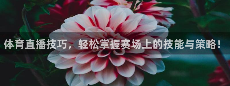 河豚体育直播网：体育直播技巧，轻松掌握赛场上的技能与策略！