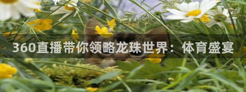 河豚免费nba在线直播：360直播带你领略龙珠世界：体育盛宴